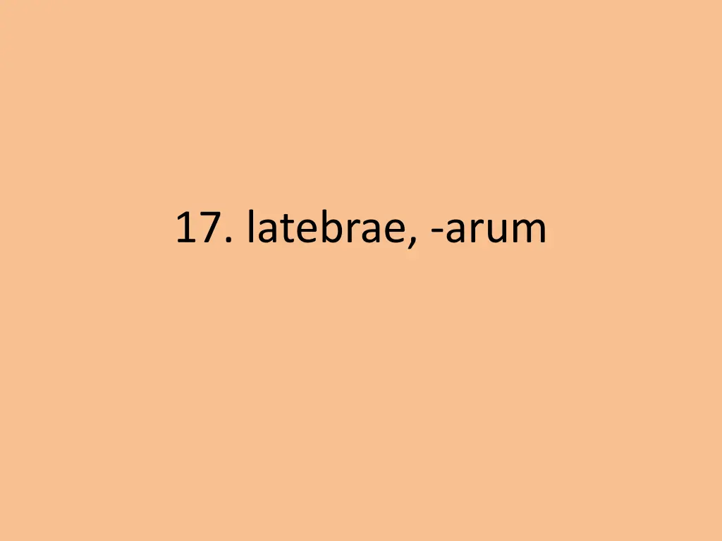 17 latebrae arum