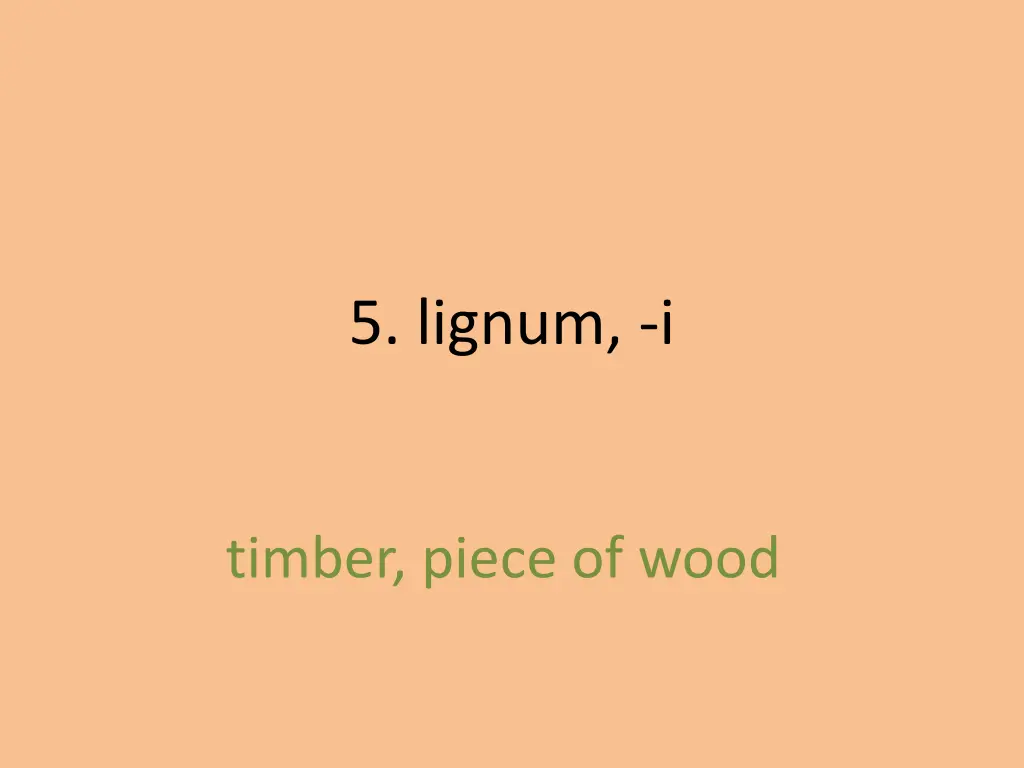 5 lignum i 1