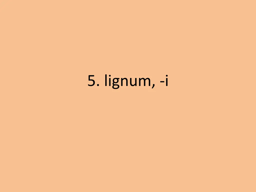 5 lignum i