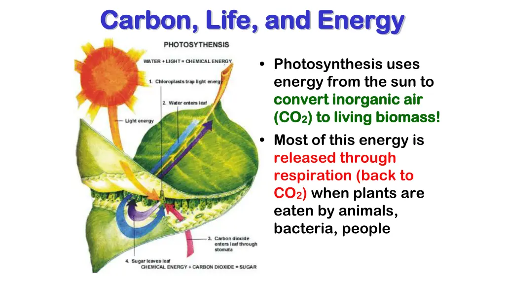 carbon life and energy carbon life and energy