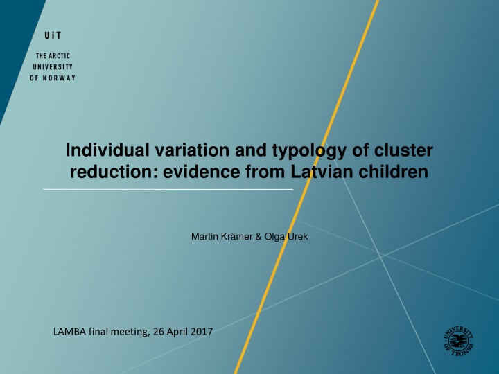 individual variation and typology of cluster