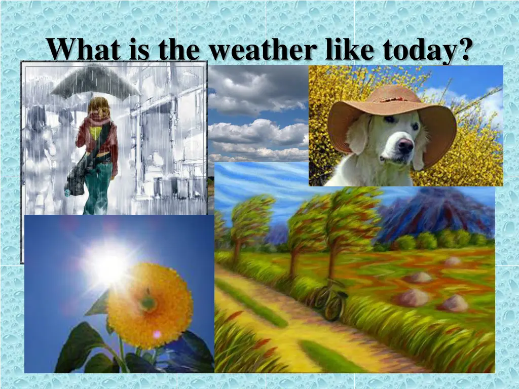 what is the weather like today