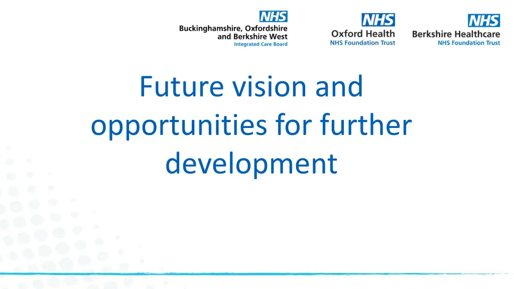 future vision and opportunities for further