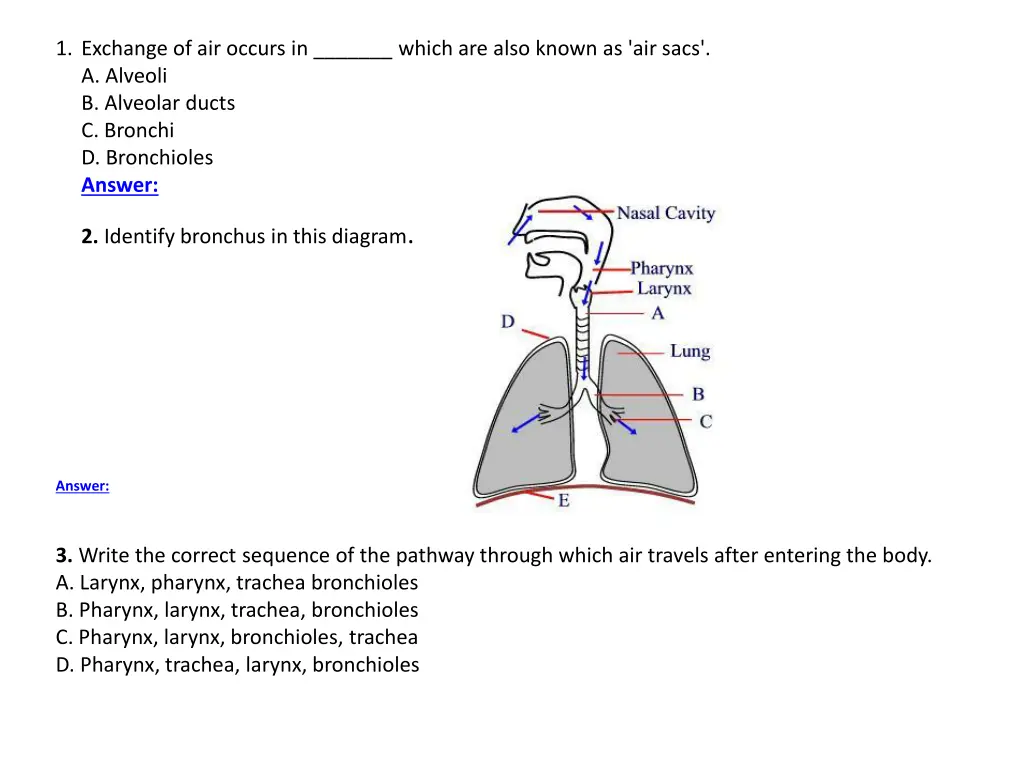 1 exchange of air occurs in which are also known