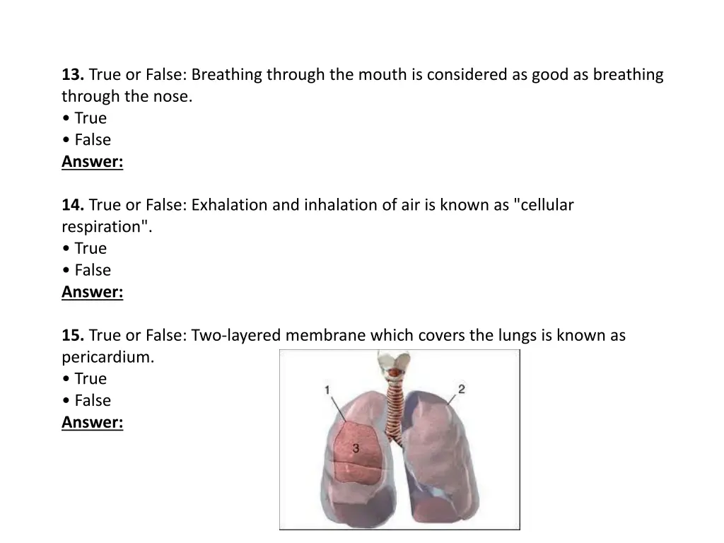 13 true or false breathing through the mouth