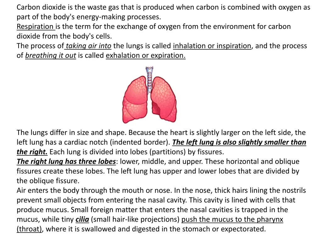 carbon dioxide is the waste gas that is produced