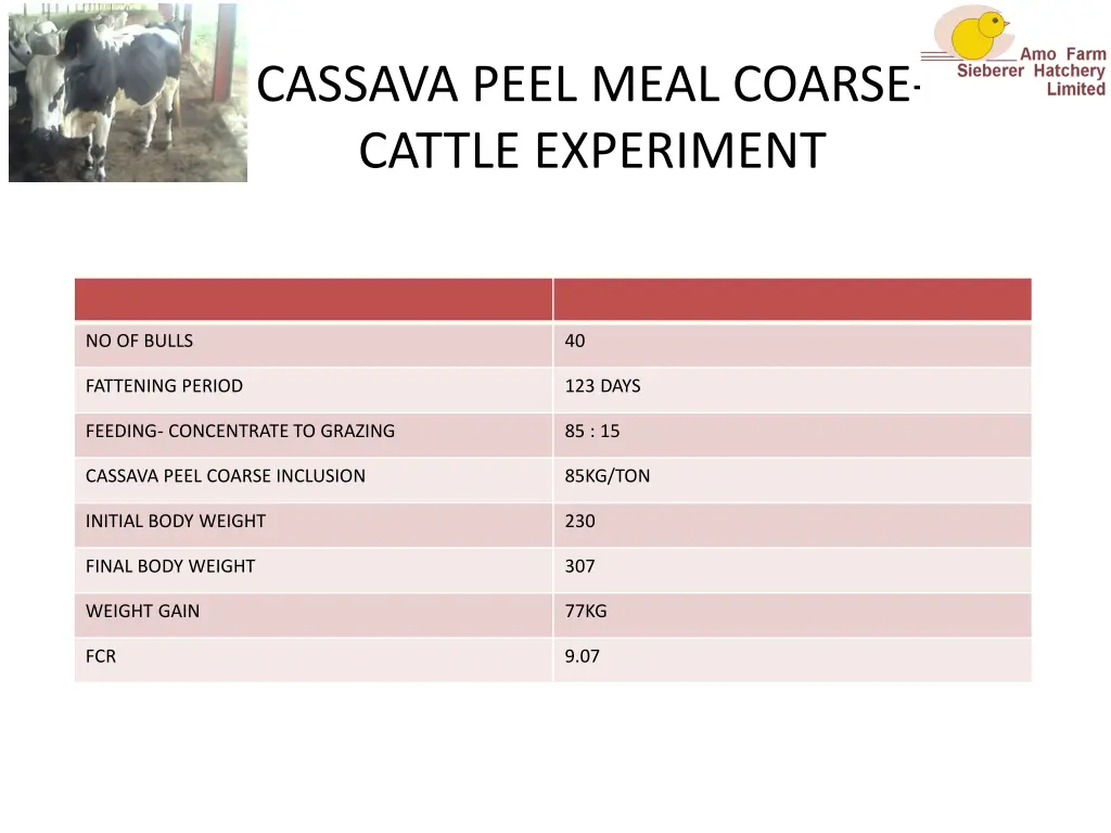 cassava peel meal coarse cattle experiment