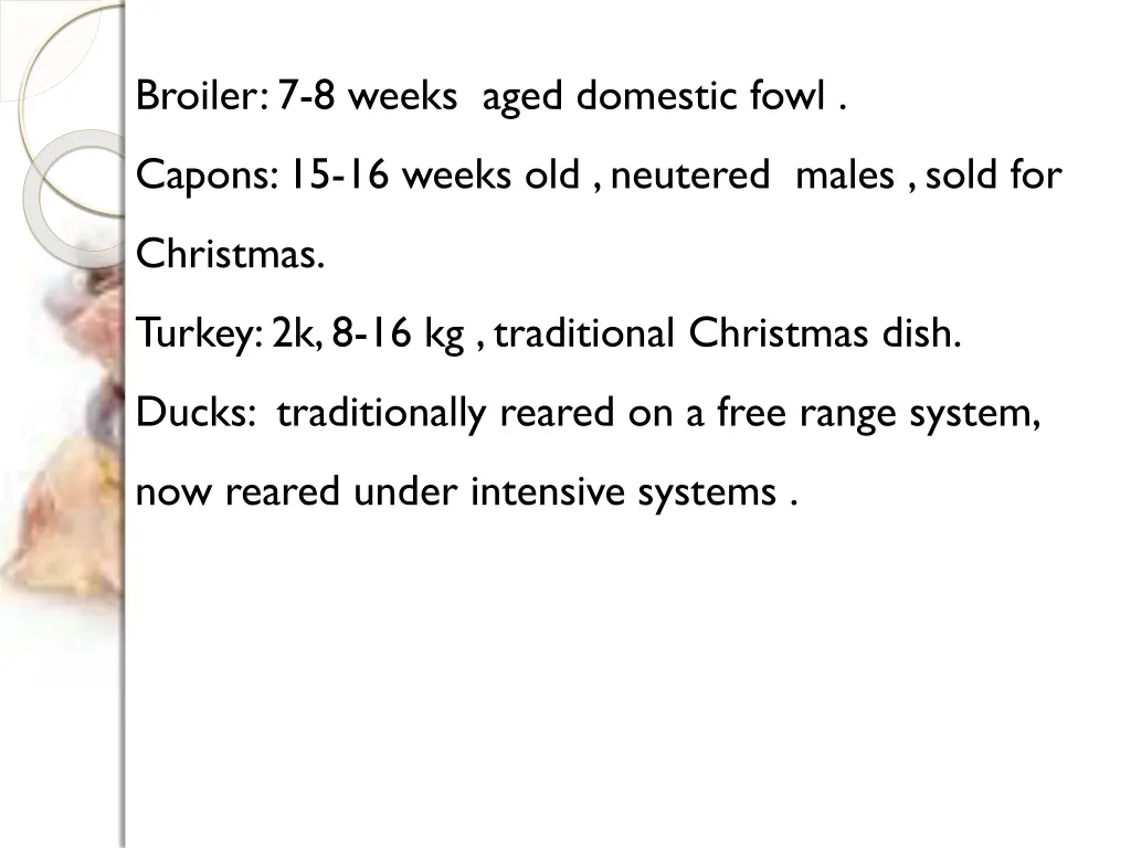 broiler 7 8 weeks aged domestic fowl