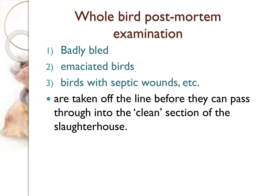 whole bird post mortem examination 1 badly bled