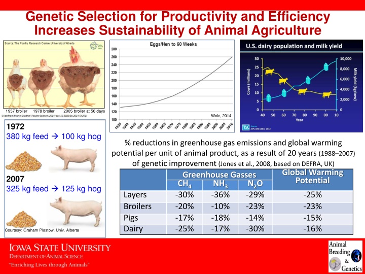 genetic selection for productivity and efficiency