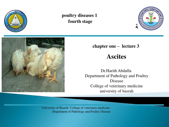 poultry diseases 1 fourth stage