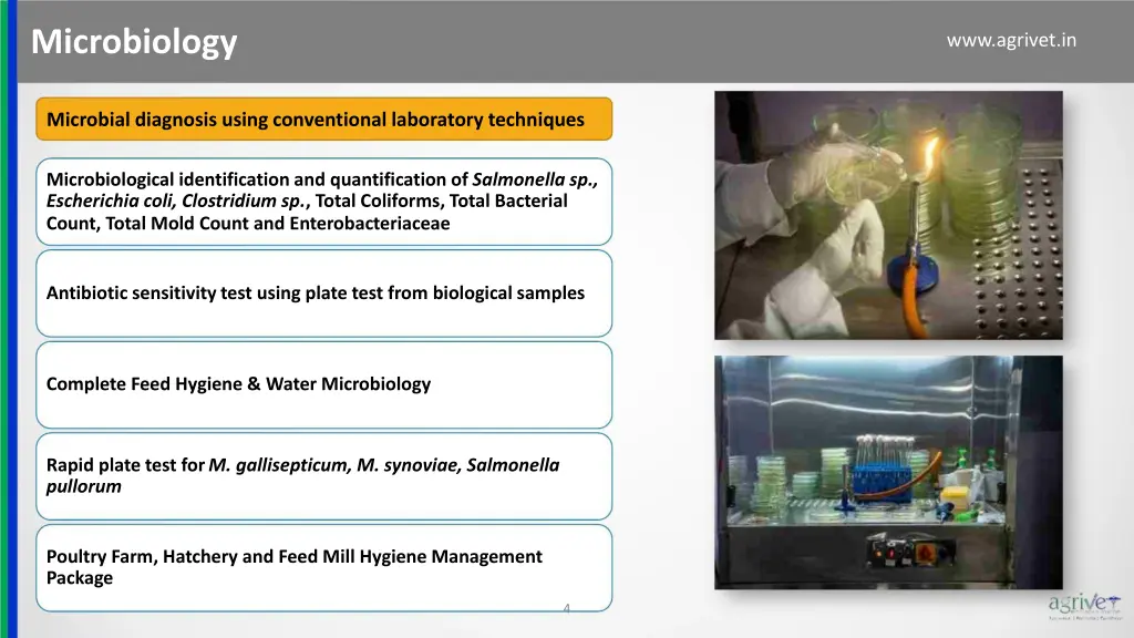 microbiology