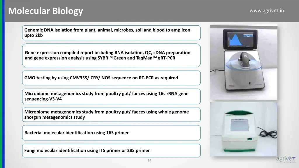 molecular biology 1