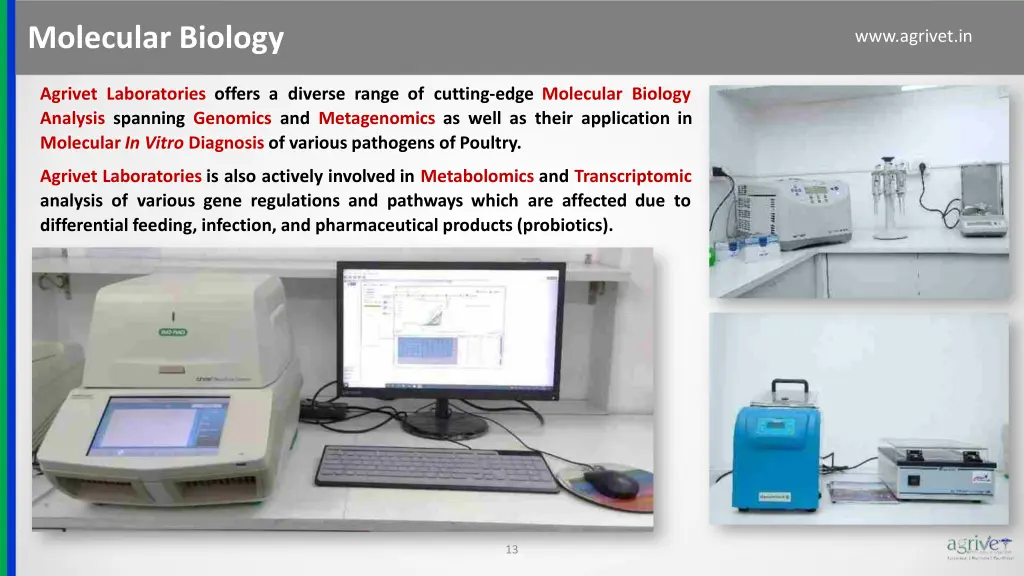 molecular biology