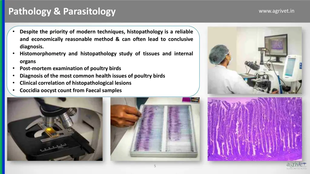 pathology parasitology