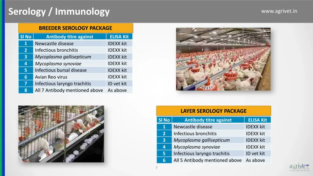 serology immunology 1