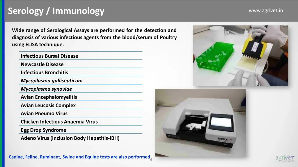 serology immunology