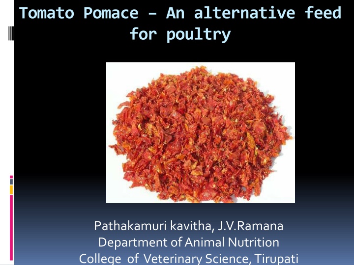 tomato pomace an alternative feed for poultry