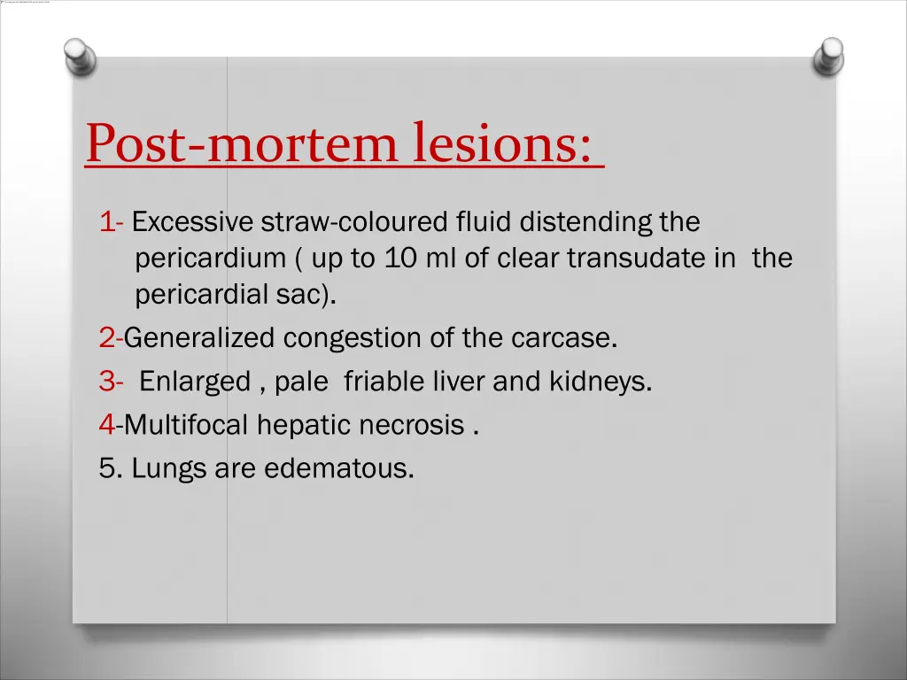 post mortem lesions