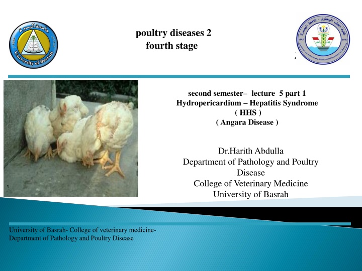 poultry diseases 2 fourth stage