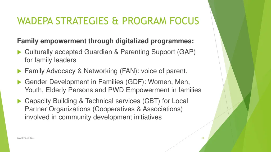 wadepa strategies program focus