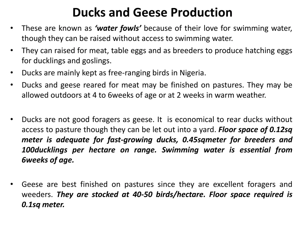 ducks and geese production