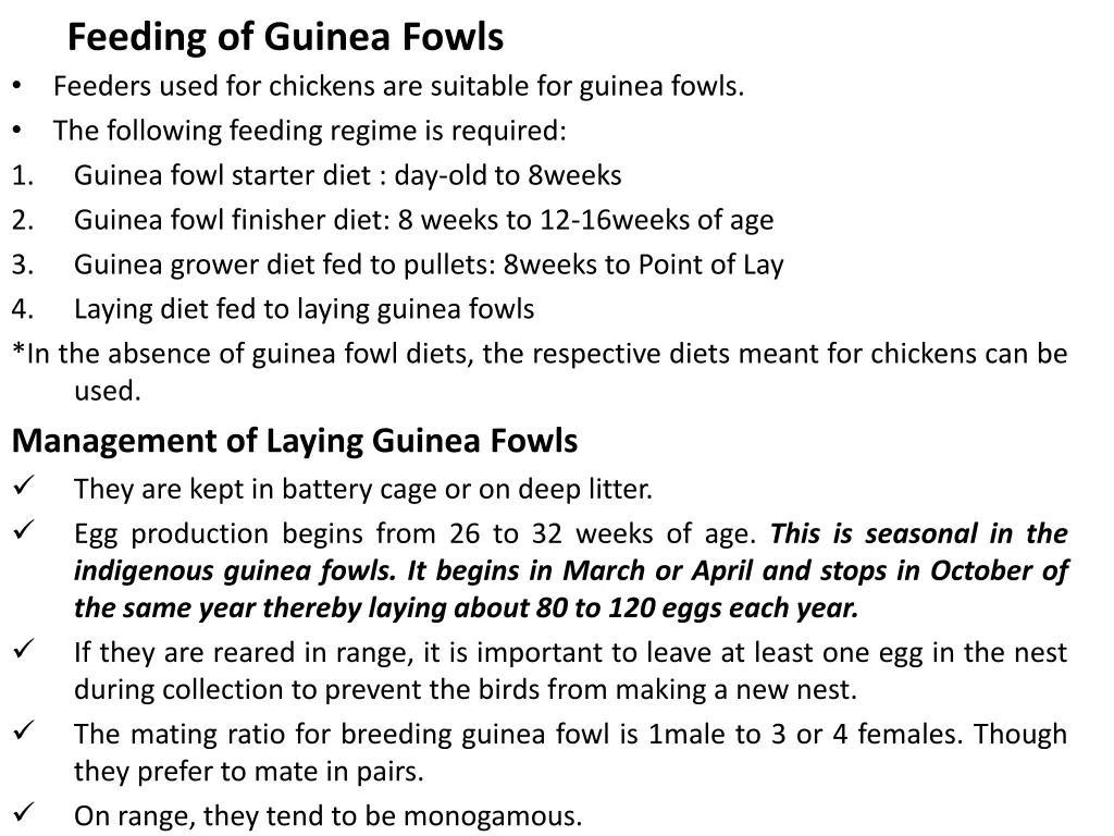 feeding of guinea fowls feeders used for chickens