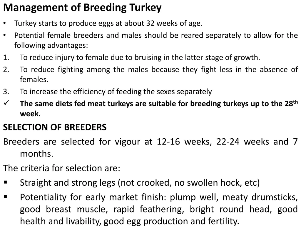 management of breeding turkey