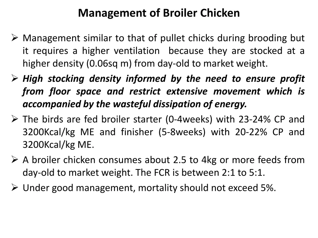 management of broiler chicken