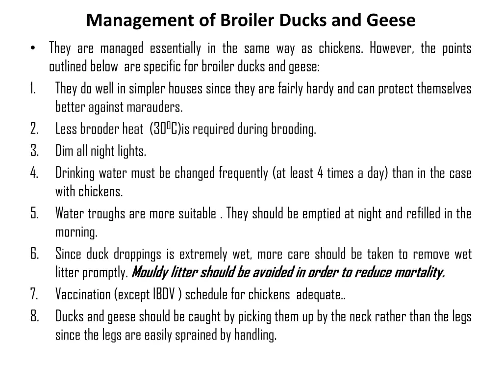 management of broiler ducks and geese they