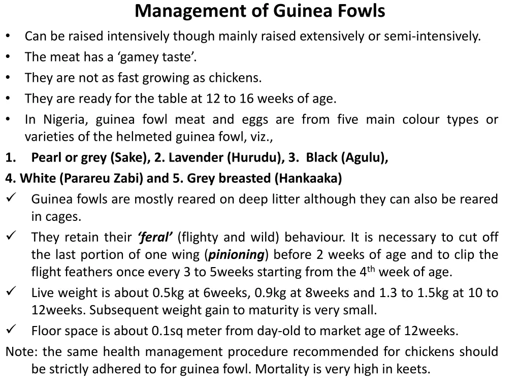 management of guinea fowls