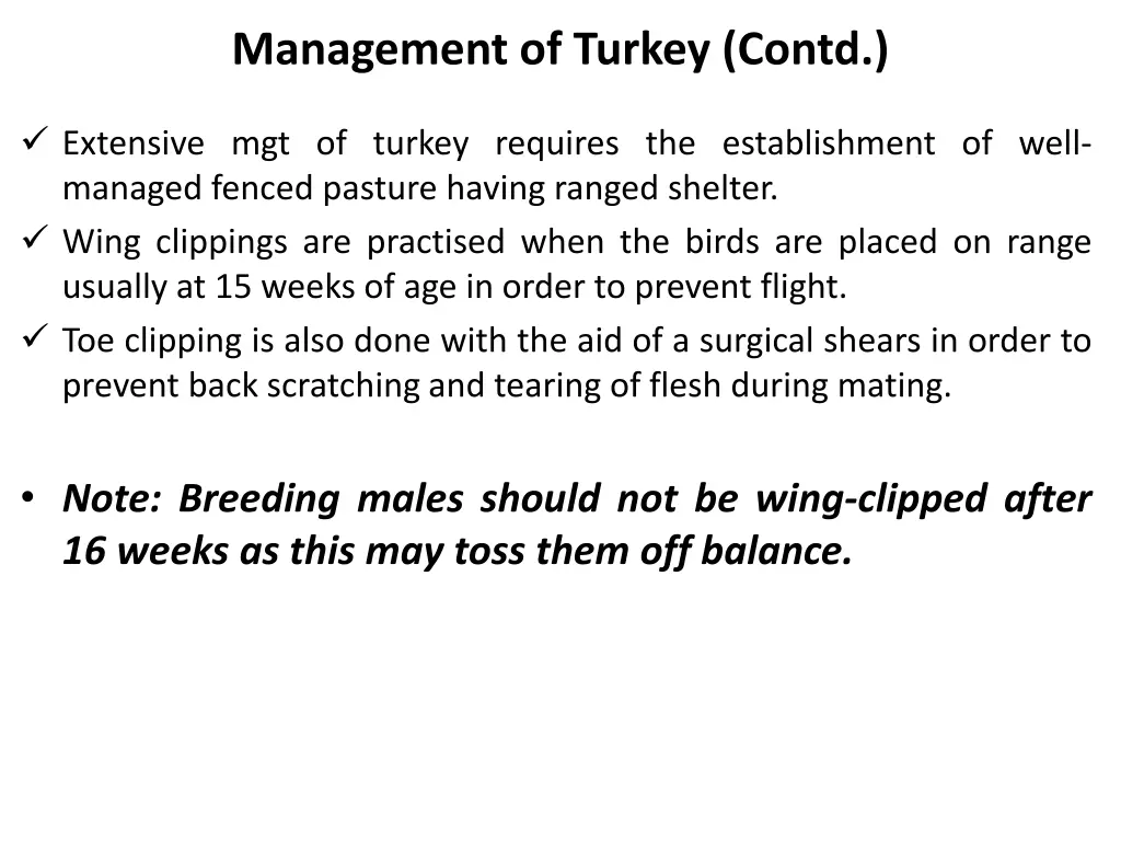 management of turkey contd