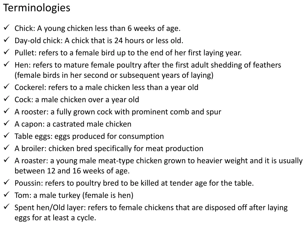 terminologies