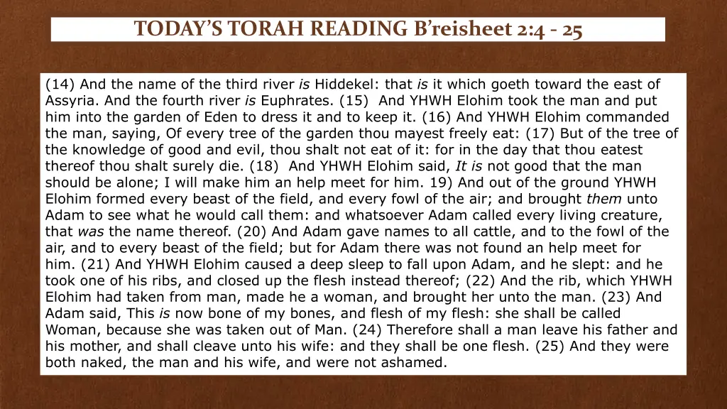 today s torah reading b reisheet 2 4 25 1