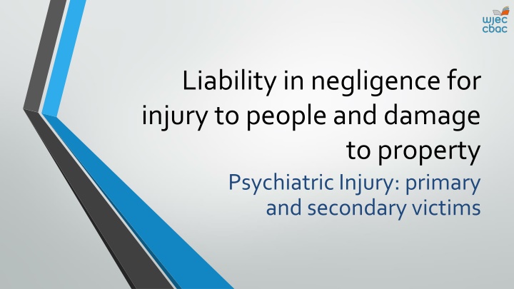 liability in negligence for injury to people