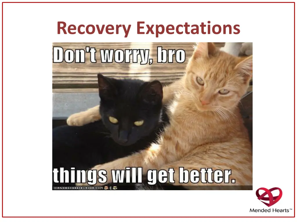 recovery expectations