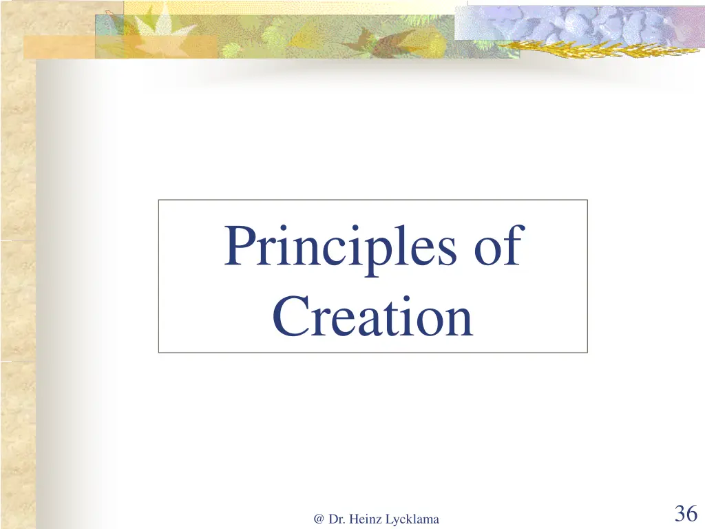 principles of creation