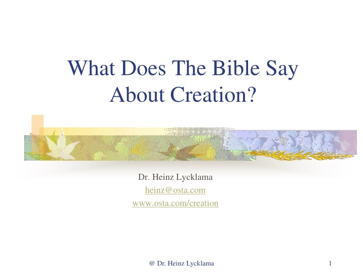 what does the bible say about creation