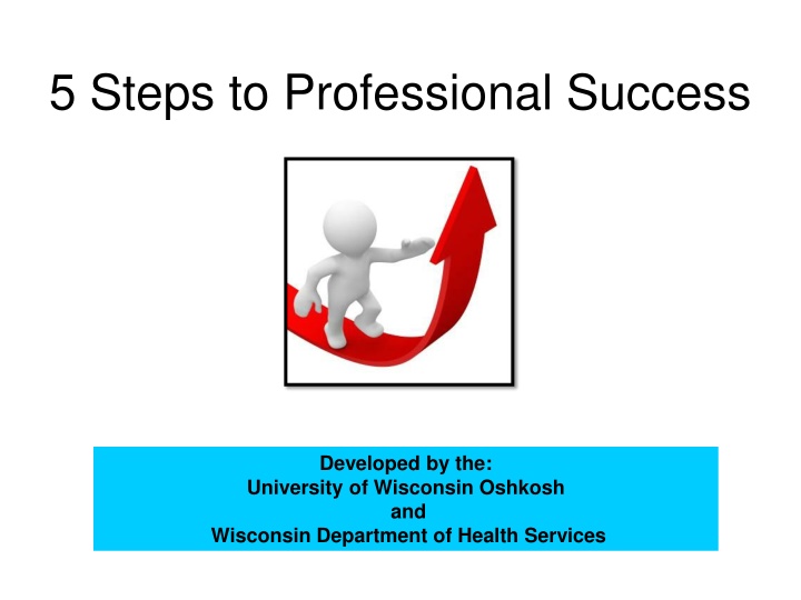 5 steps to professional success