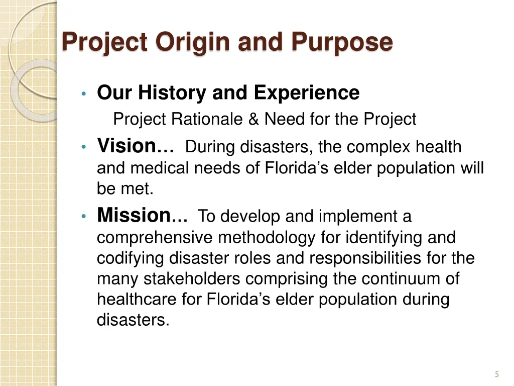 project origin and purpose