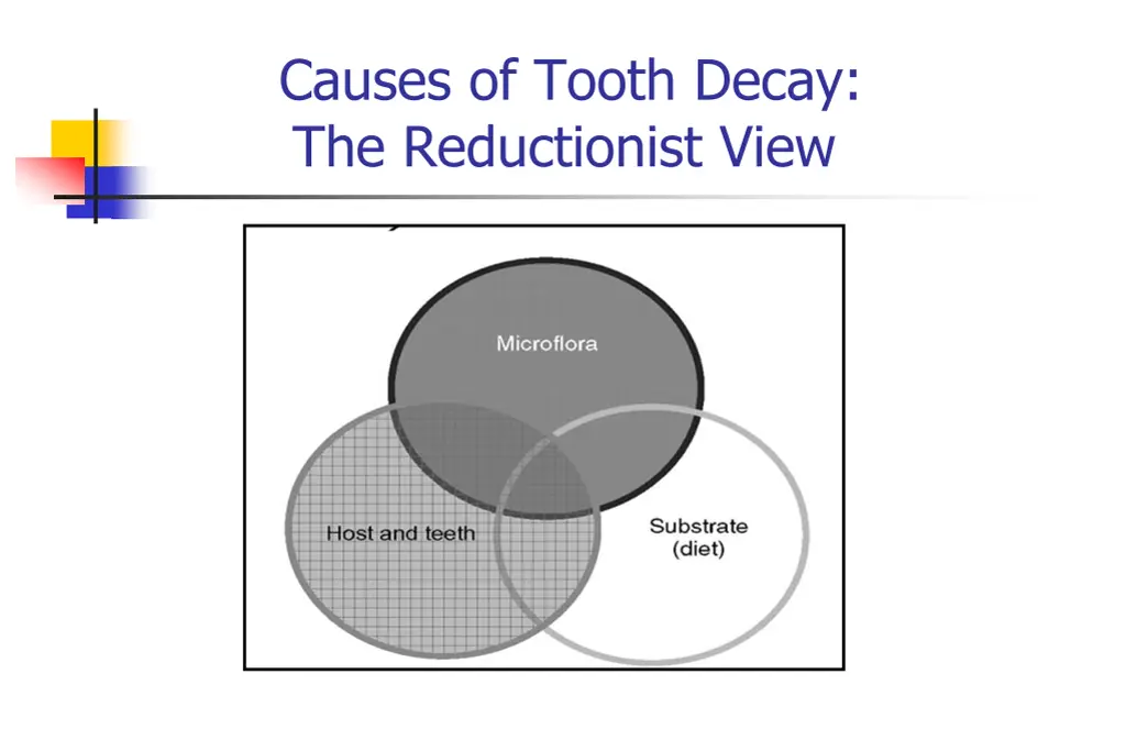 causes of tooth decay the reductionist view