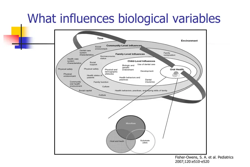 what influences biological variables 1