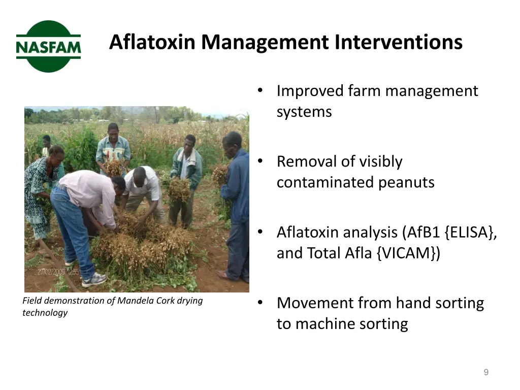 aflatoxin management interventions