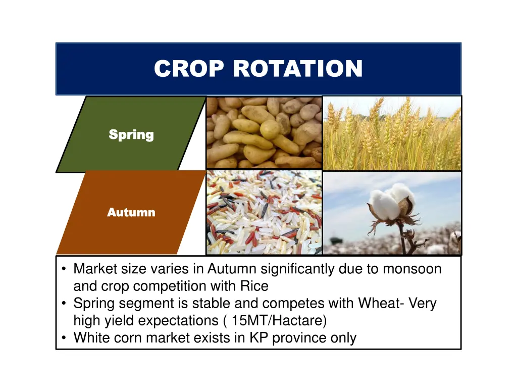 crop rotation