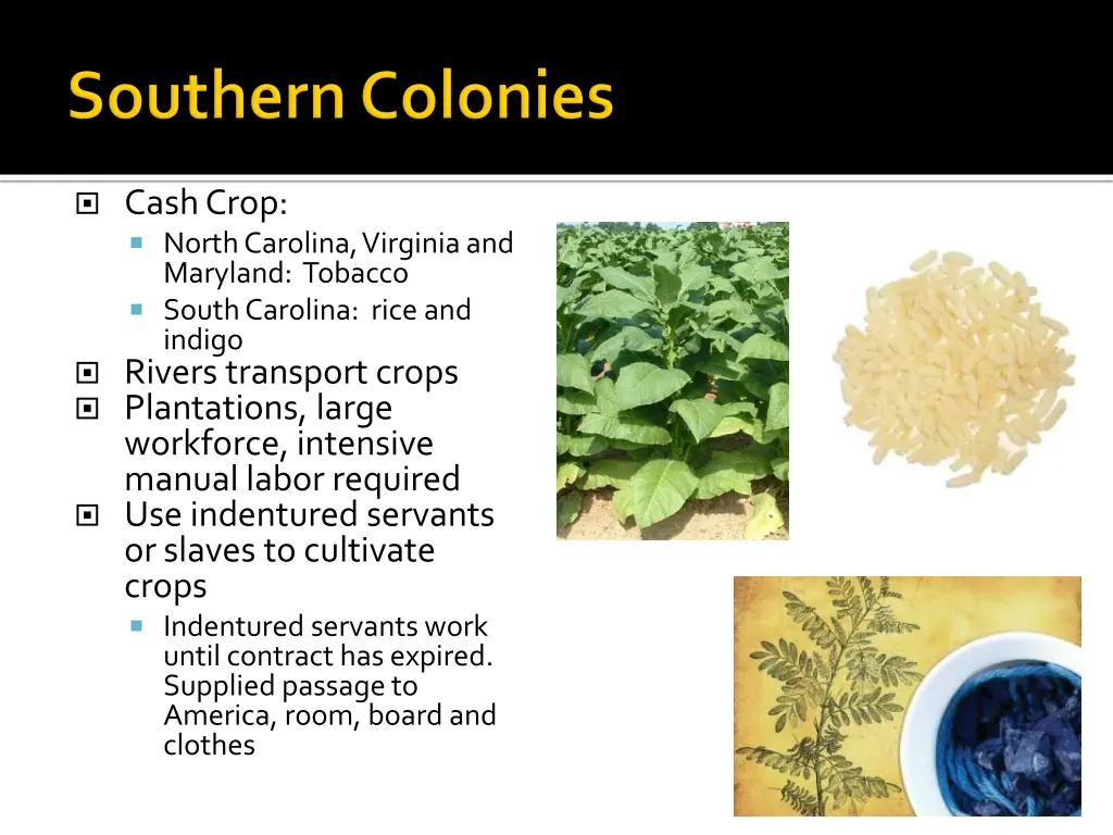 cash crop north carolina virginia and maryland