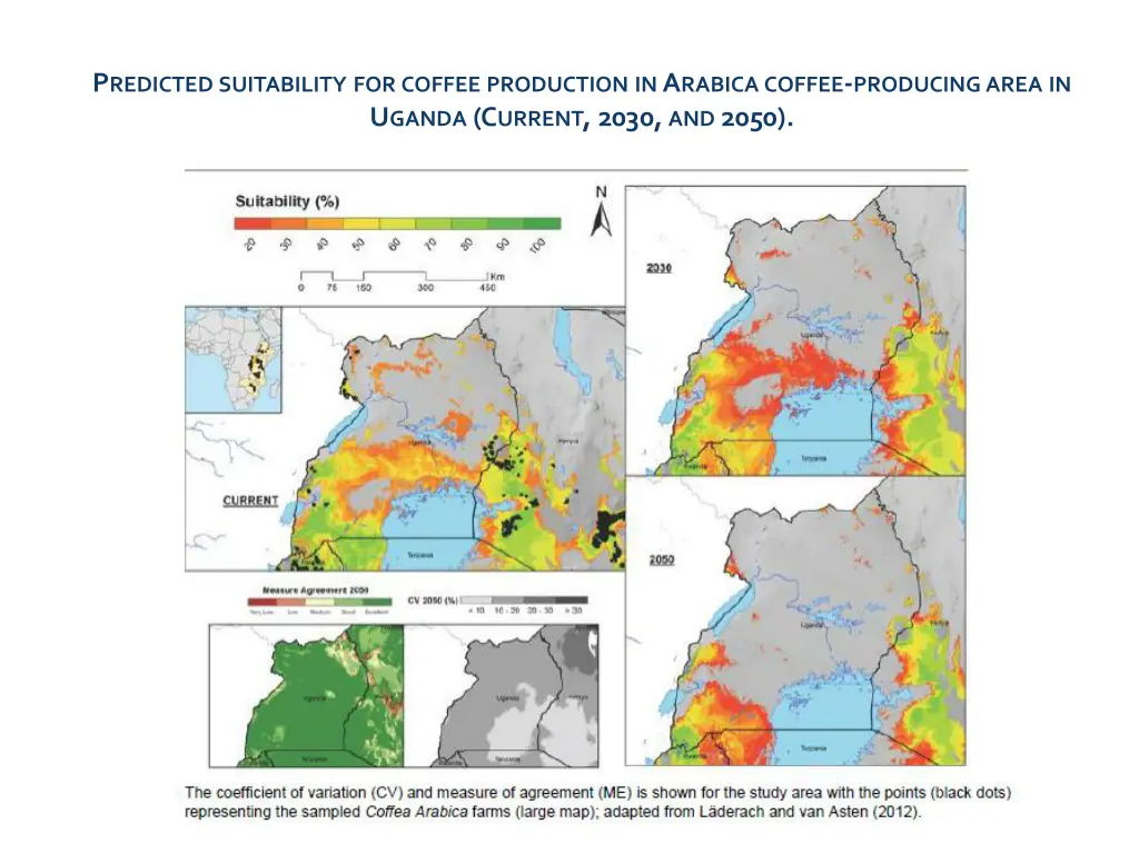 p redicted suitability for coffee production