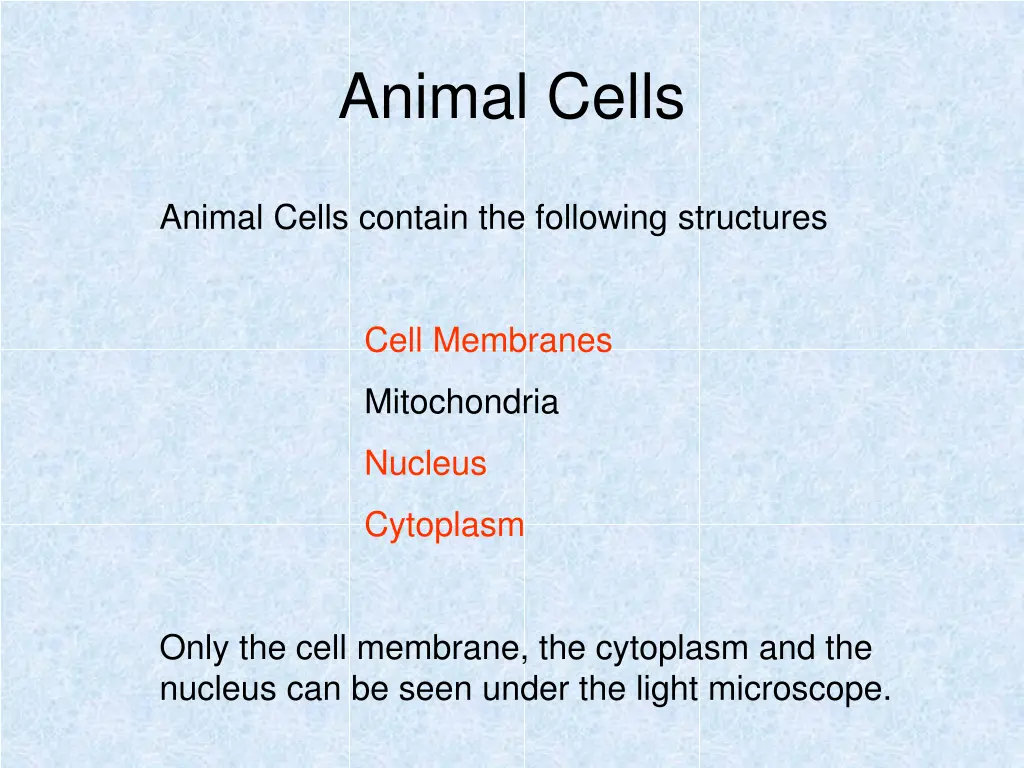 animal cells