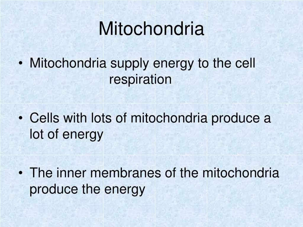 mitochondria