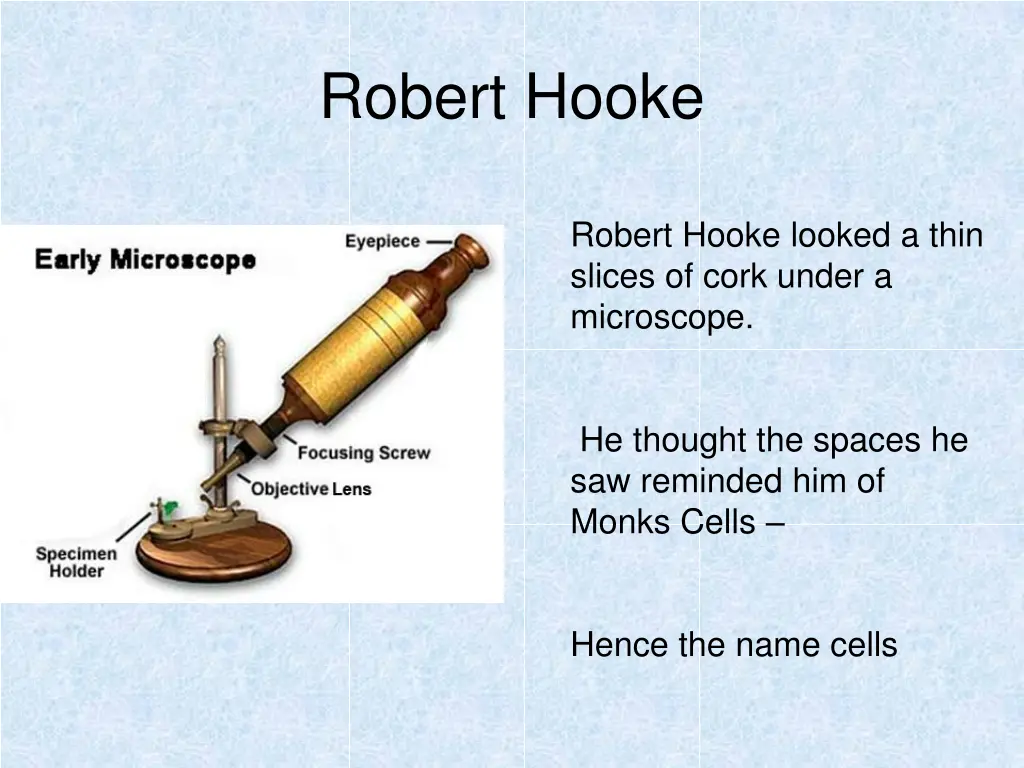 robert hooke