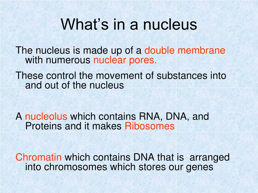 what s in a nucleus